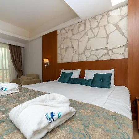 Hotel Dionis & 4*